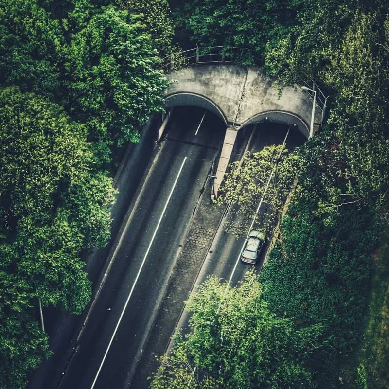 Coleira Ajustável com Fivela